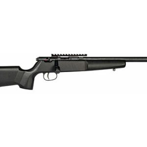 SAVAGE RASCAL TARGET SINGLE SHOT 22LR THREAD HB PREC STK