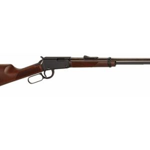 HENRY VARMINT EXPRESS 17HMR 19" BLUED WALNUT